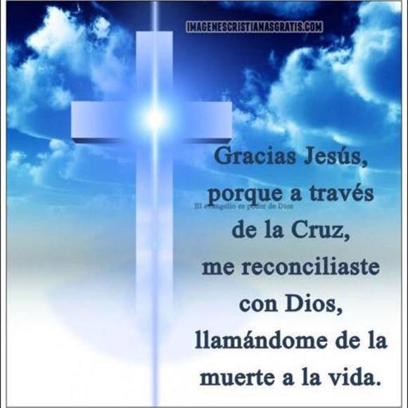 Meet your Posher, Rey - Picture 1 of 1